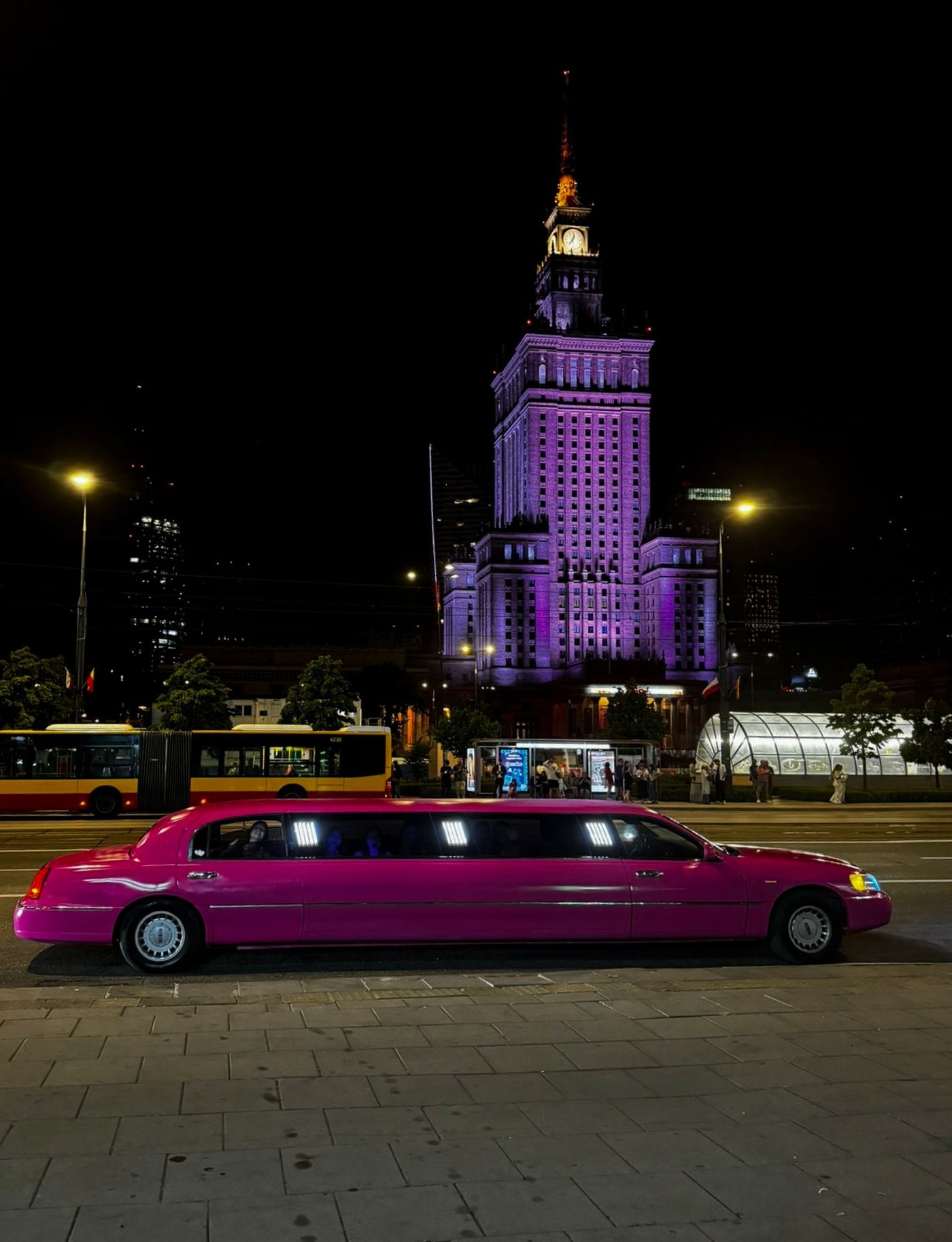 Lincoln Pink — pełna sylwetka